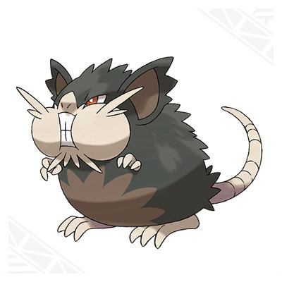 Pokemon Sun and Moon Alolan Raticate