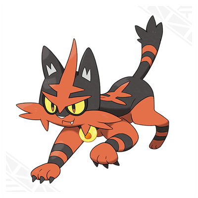 Pokemon Sun and Moon Torracat