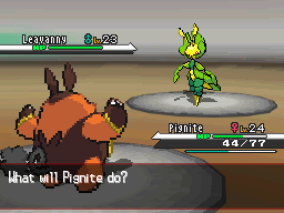 Pokemon Black White Burgh Gym Leader