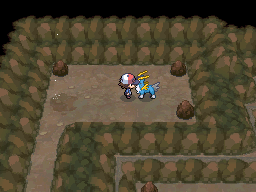 Pok&eacute;mon Black White Cobalion
