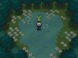 Pok&eacute;mon Black White Virizion