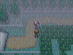 Pok&eacute;mon Black White Thundurus