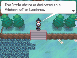 Pok&eacute;mon Black White Landorus