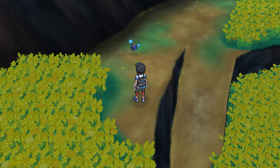 Pok&eacute;mon Sun Moon Walkthrough