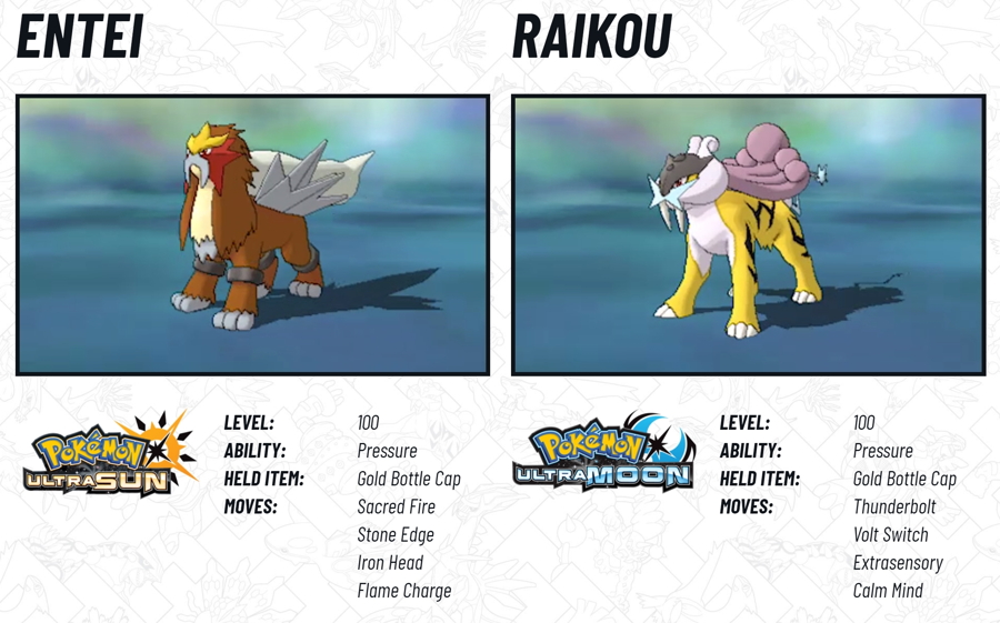 Pokemon Raikou lvl 100