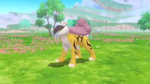 Pokemon Brilliant Diamond Shining Pearl Raikou