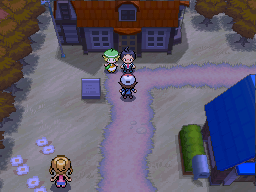 Pokemon Black White Walkthrough