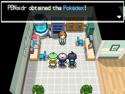 Pokemon Black White Walkthrough