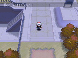 Pokemon Black White Walkthrough