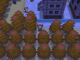 Pokemon Black White Walkthrough