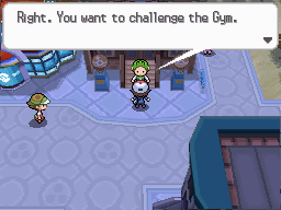 Pokemon Black White Walkthrough