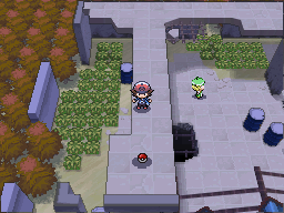 Pokemon Black White Walkthrough