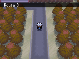 Pokemon Black White Walkthrough