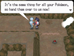 Pokemon Black White Walkthrough