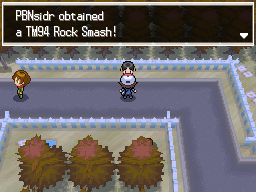 Pokemon Black White Walkthrough