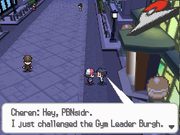 Pokemon Black White Walkthrough