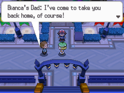 Pokemon Black White Walkthrough