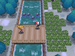 Pokemon Black White Walkthrough