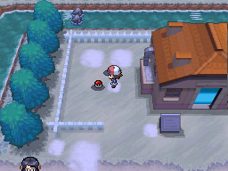 Pokemon Black White Walkthrough