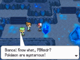 Pokemon Black White Walkthrough