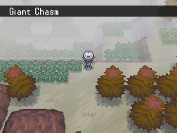 Pokemon Black White Walkthrough