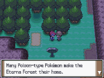 Pokemon Platinum Eterna Forest Entrance