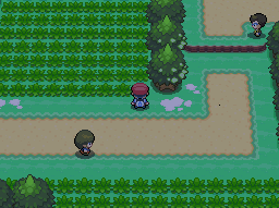 Pokemon Platinum Route 201 Bush