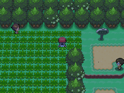 Pokemon Platinum Route 201 exit