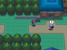 Pokemon Platinum Dawn Entrance