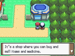 Pokemon Platinum Sandgem Market