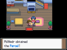 Pokemon Platinum Screenshot Journal