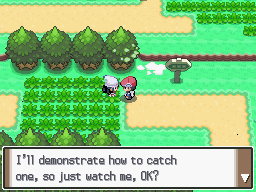 Pokemon Platinum Catching Pokemon