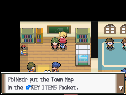 Pokemon Platinum Trainer School