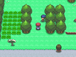 Pokemon Platinum Route 203