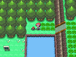 Pokemon Platinum Water 203