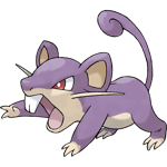 Rattata