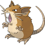 Raticate