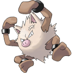 Primeape