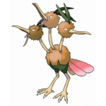 Dodrio