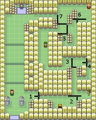 Pokemon Ruby Sapphire Fortree Gym Map