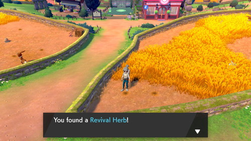 Pokemon Sword Shield Walkthrough